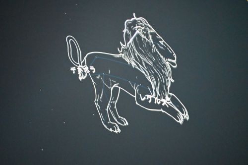 DSC_0136.JPG