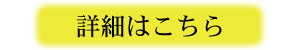 詳細.png